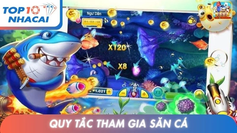 Quy tắc tham gia săn cá