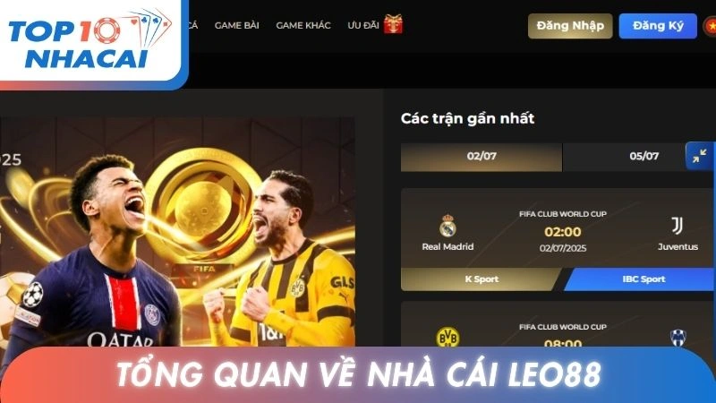 Tổng quan về thương hiệu nhà cái Leo88
