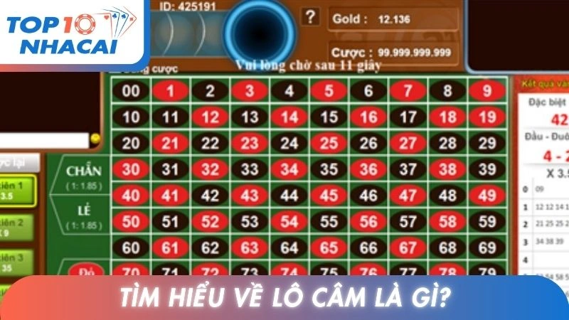 Tìm hiểu về lô câm là gì?